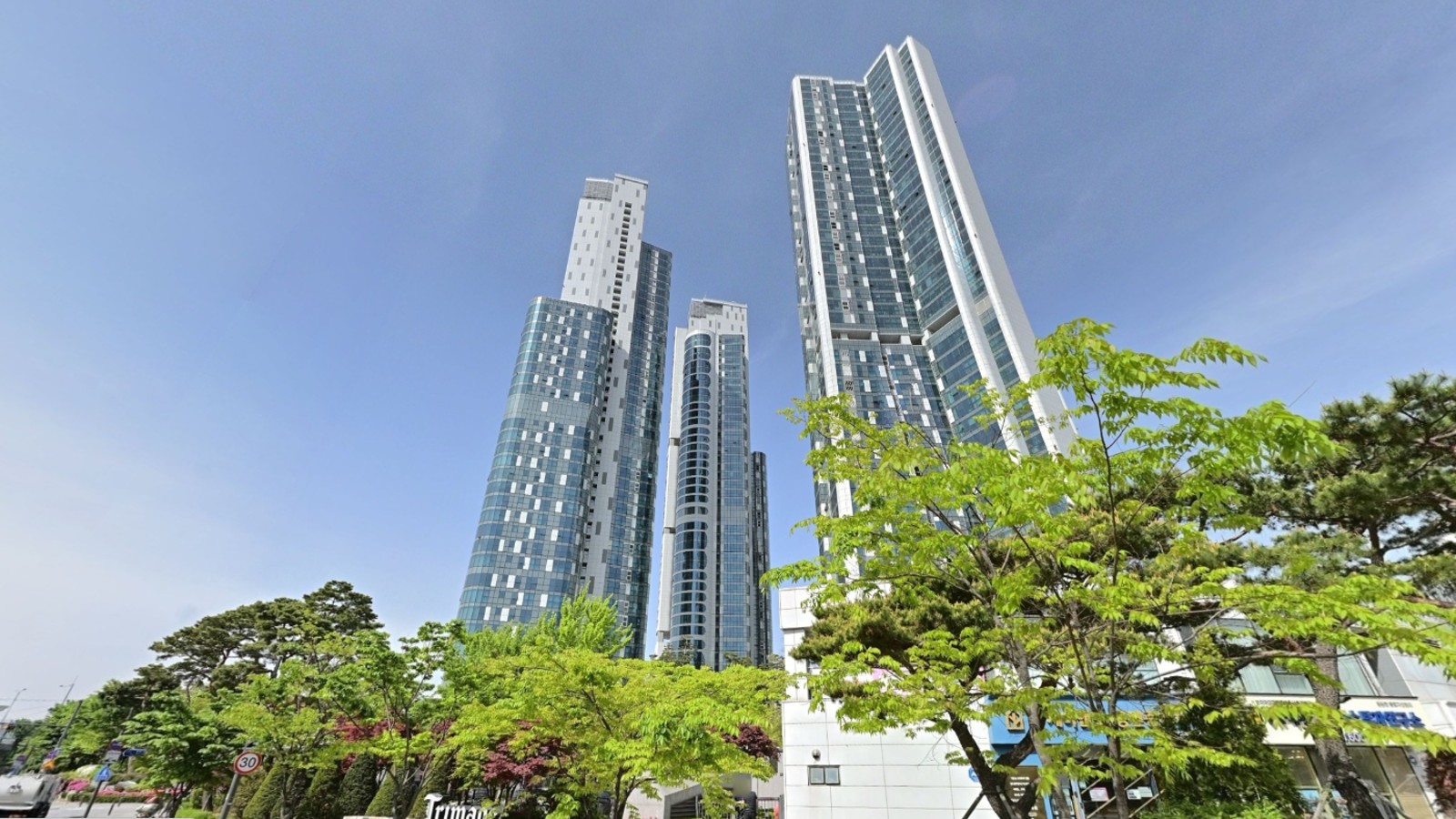 성수동 트리마제 전경 이미지